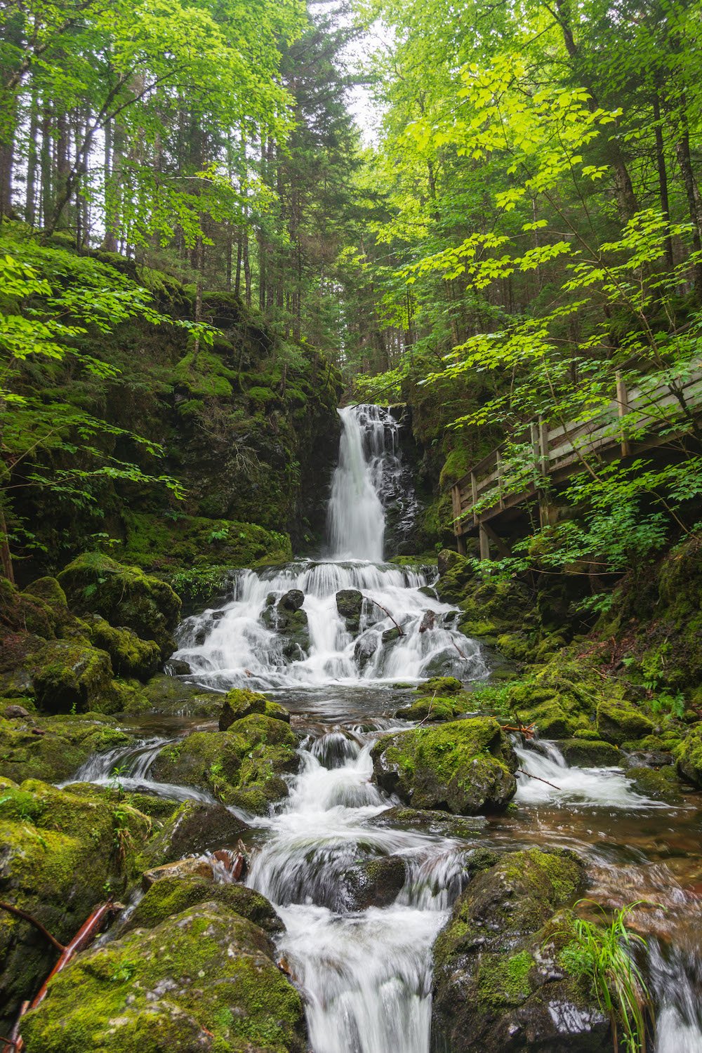 딕슨 폭포 (Dickson Falls)
